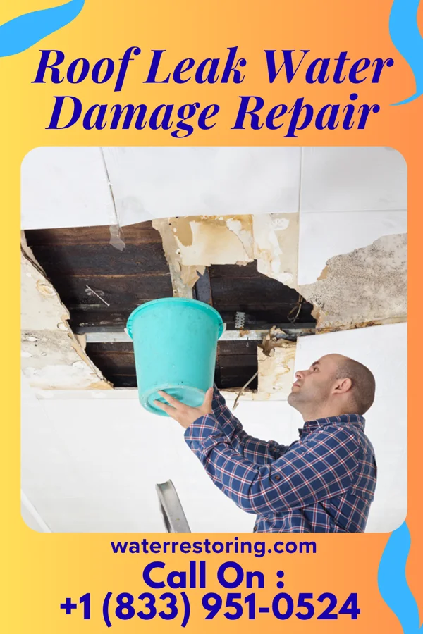 Roof Leak Water Damage Repair in East St. Louis, IL