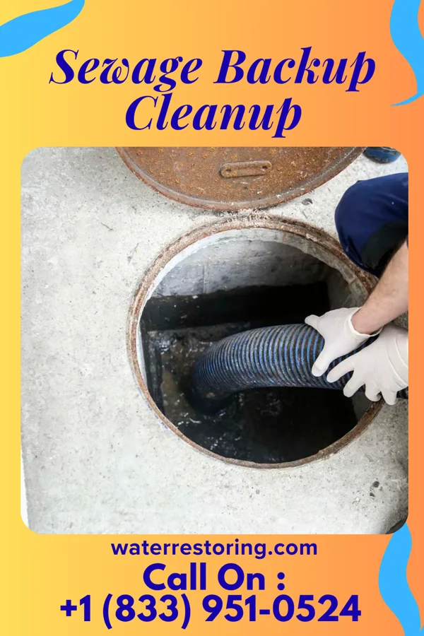 Sewage Backup Cleanup in East St. Louis, IL