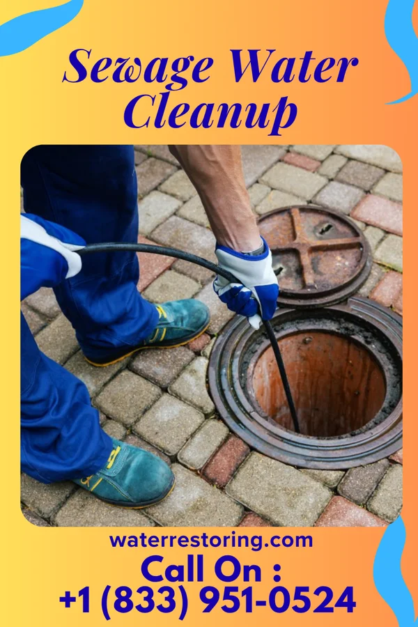 Sewage Water Cleanup in East St. Louis, IL