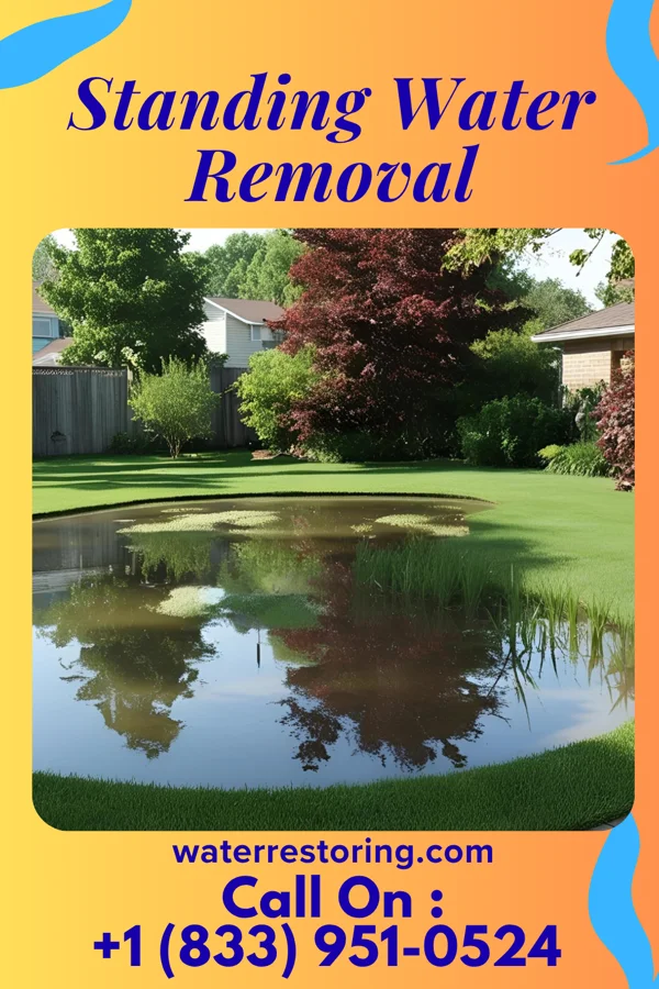 Standing Water Removal in East St. Louis, IL